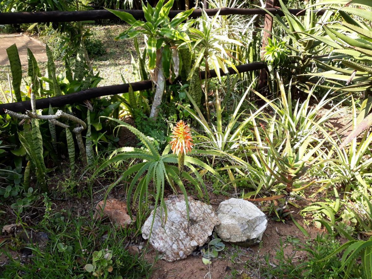 Villa St Lucia Wilds Exterior foto